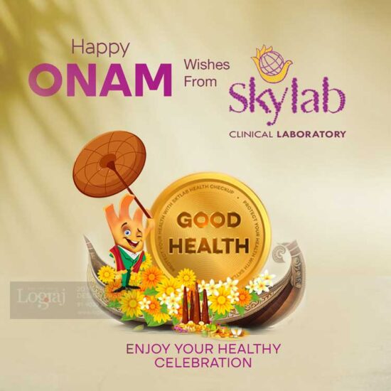 Social media marketing and poster design onam poster design creative advertisment logo designing company in Trivandrum
